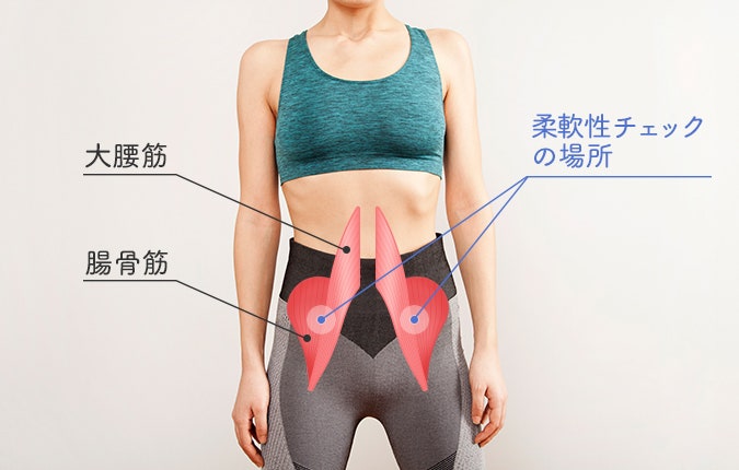 腸腰筋、大腰筋、腸骨筋、股関節を屈曲する筋肉、説明ありのイラスト素材90182493- PIXTA