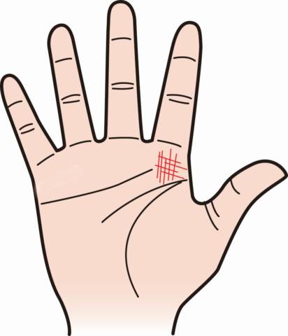 🌼手相プチ情報🌼