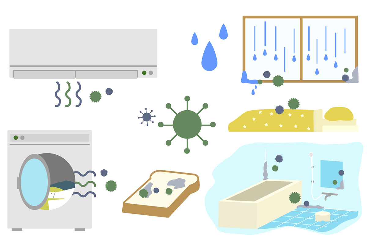 この部屋、なんか臭う 」気づきにくいニオイの原因を徹底チェック - オゾンマート