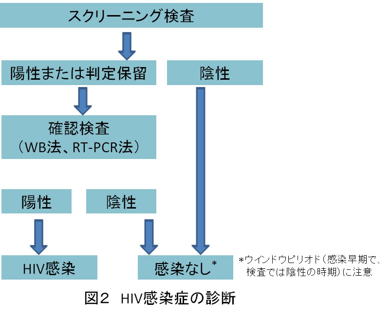 クラミジアとHIVの違いって何？性病専門のあおぞらクリニック新橋院