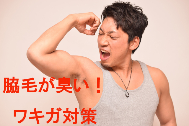 ワキ 脇毛 脱毛の詳細 都度払い 男性のヒゲ・全身脱毛ならメンズ脱毛フィーゴ figo