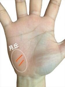 スター線 星紋 があると宝くじが当たる!? 意味と見方を解説手相占い 「マイナビウーマン」