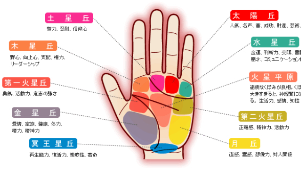 ヨドバシ.com - 図解 女性の幸せを招く手相入門 たまの新書新書通販 全品無料配達