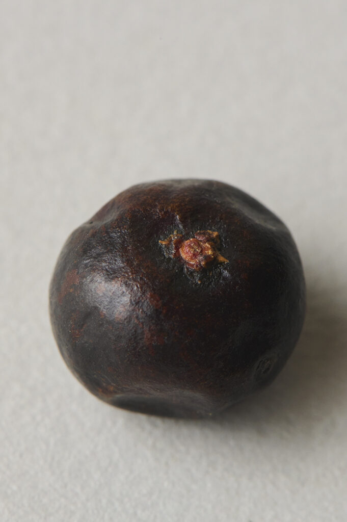 いつもご利用ありがとうございます 本日から運動後の肌に特化したオールインワンゲルCOSS THEGEL コスザゲル の施設内お試し＆サンプリングがスタートします。ランニング後のご自身の肌で、実際に商品をお試しください。今日から1000個限定サンプリングも実施します