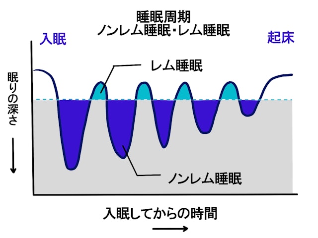 小児科医監修 新生児が寝ない理由は？寝かしつけのコツや対策を解説
