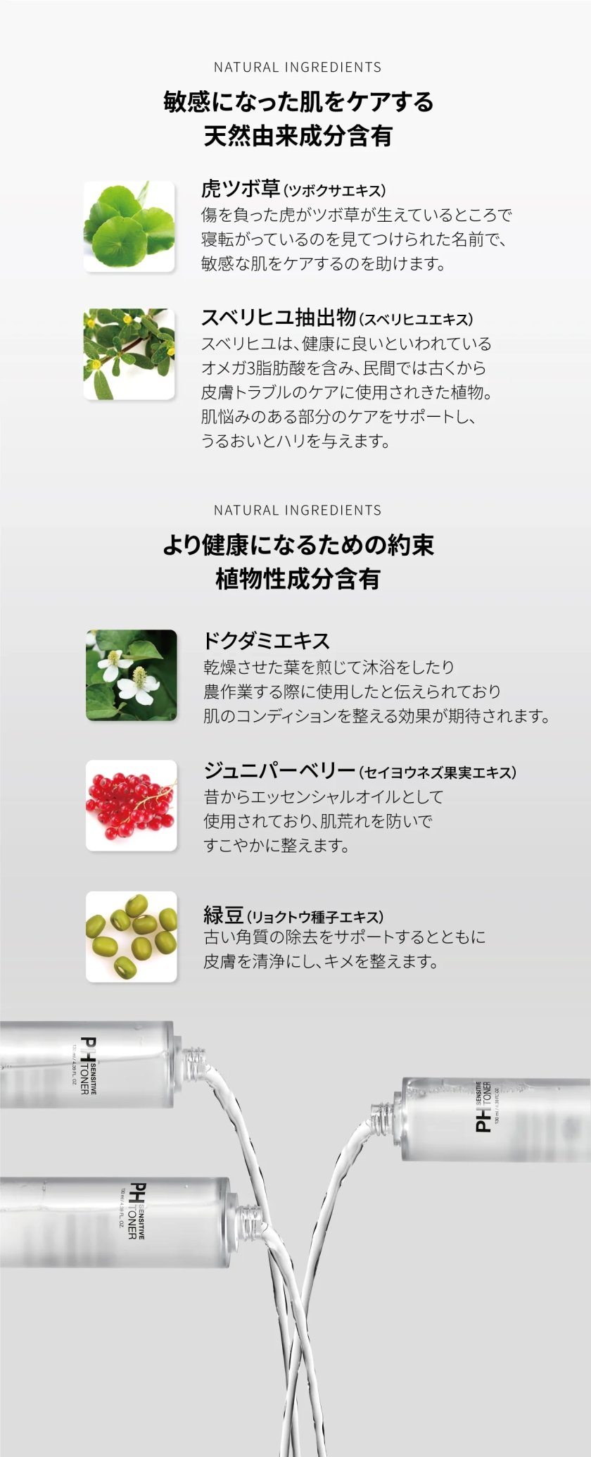 ジュニパーベリー ホール 100gカリス成城 WEB SHOP