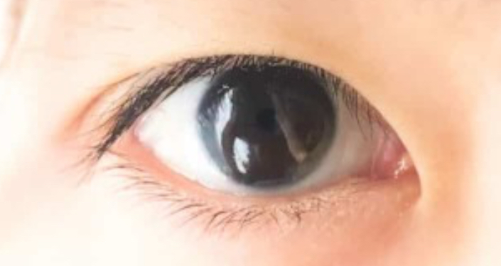 瞳の色アメ嫁ブログ 旧カリフォルニアの真ん中アメリカ生活