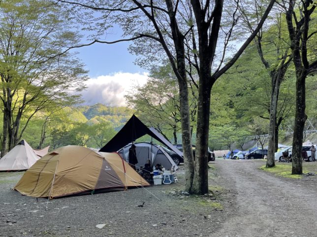 ウェルプシャンプーの違いを比較！どっちがいいの？オススメ選び方ガイド！身だしなみのハンドブック