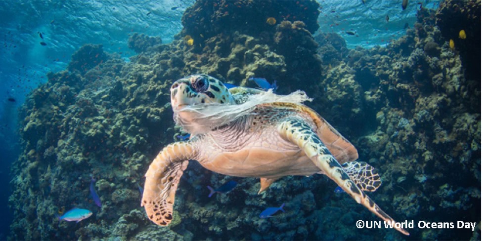 海ごみの問題点一般社団法人 JEAN