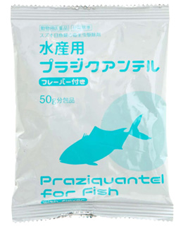 亀の病気水カビ病の治療と使える薬 まとめまゆみん解説 亀の飼育 大辞典道場マニアーナ！まにあ道 - 趣味と遊びを極めるサイト