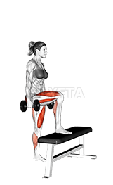 ダンベルランジの効果的なやり方大殿筋・大腿四頭筋を鍛えるトレーニングQITANO ® 北野カラダづくりラボ