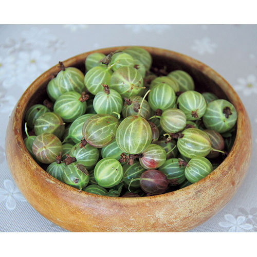 楽天市場 グズベリーの通販