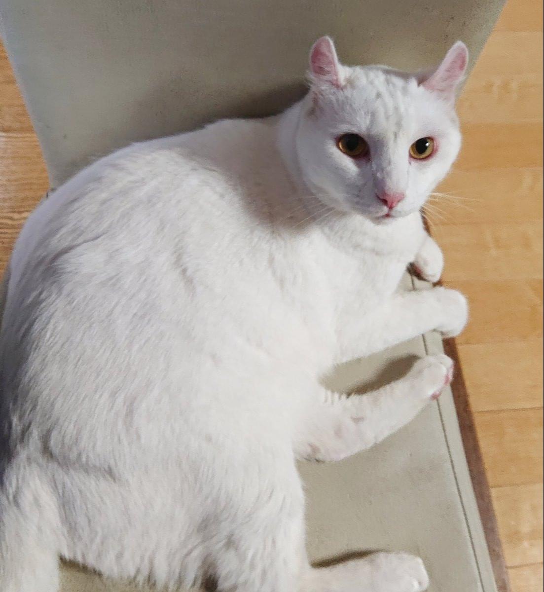 太って見えない」白パンツ！オフィスで愛される７コーデOTONA SALONE