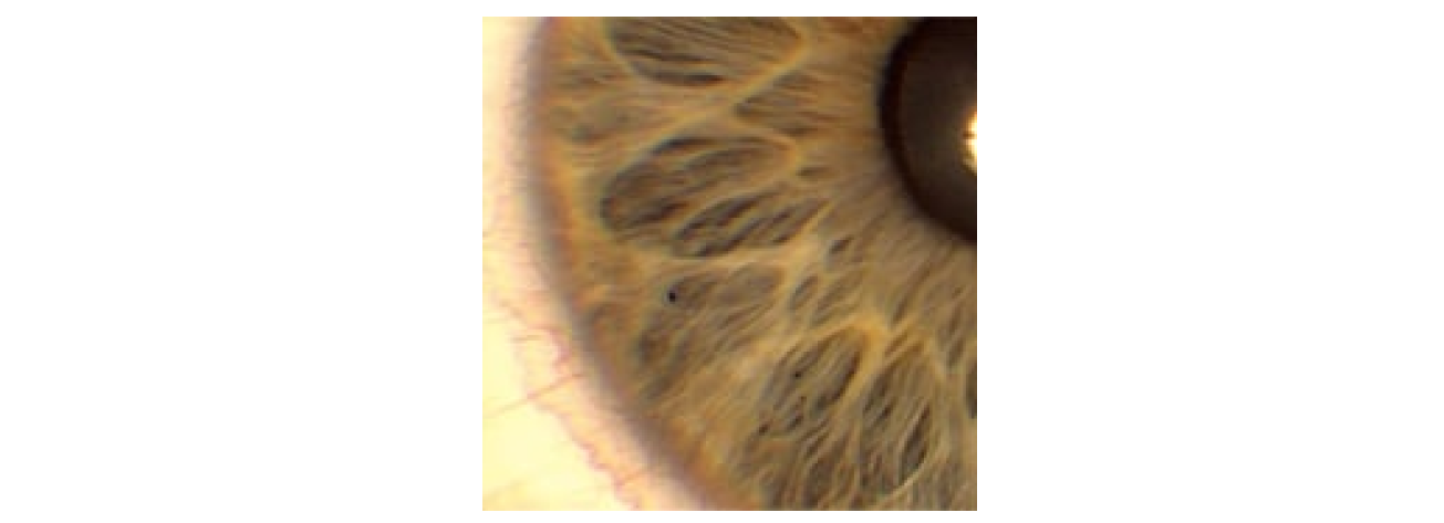 まるでサファイア。世界の美しい「青い目」まとめ。ぱや好奇心の壺