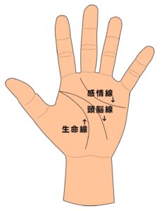 開運線」は大幸運のしるし！「フィッシュ」「スター」は突然舞い込む金運あり!? えみ先生の手相読みkufura クフラ 小学館公式