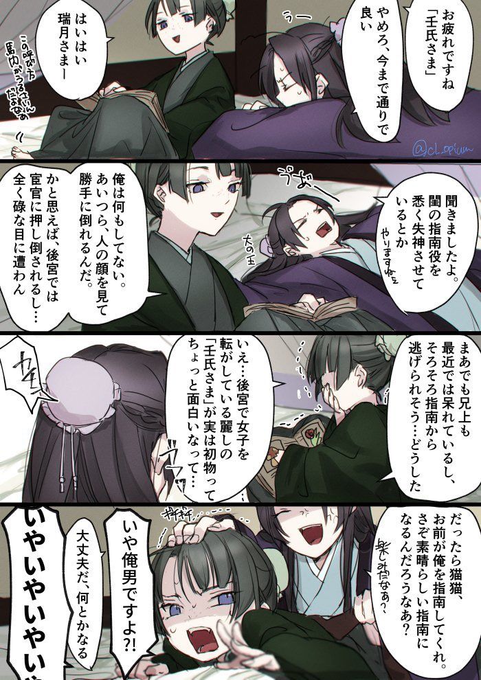 薬屋のひとりごと 12巻 後編その3riosaoreのブログ