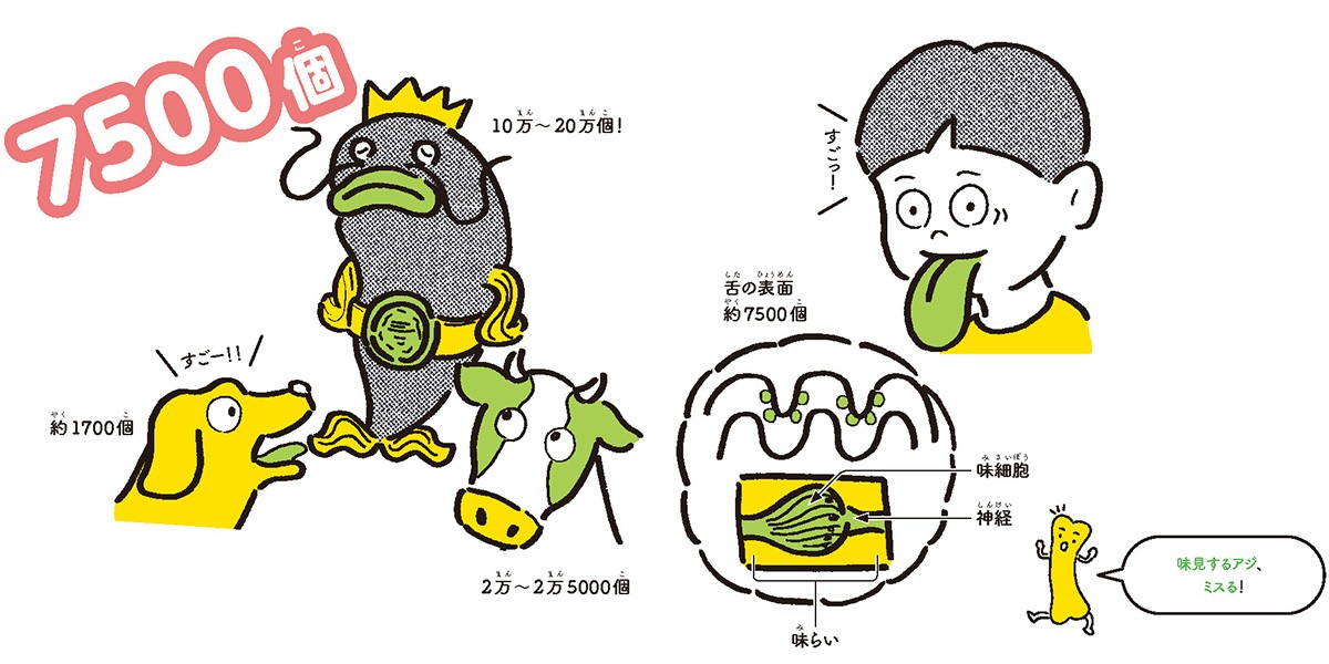 がんと予防CANCER MONTH KYOTO 2019