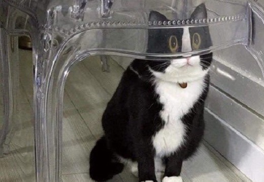 ダイゴの作品 「SIMPLE3」フォトブック・フォト 写真 アルバム作成ならPhotoback