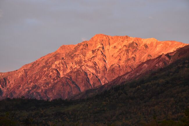 ツツジの楽園 赤城山 山肌を彩るツツジを一挙解説！Akagi Trip 赤城山をあそぼう