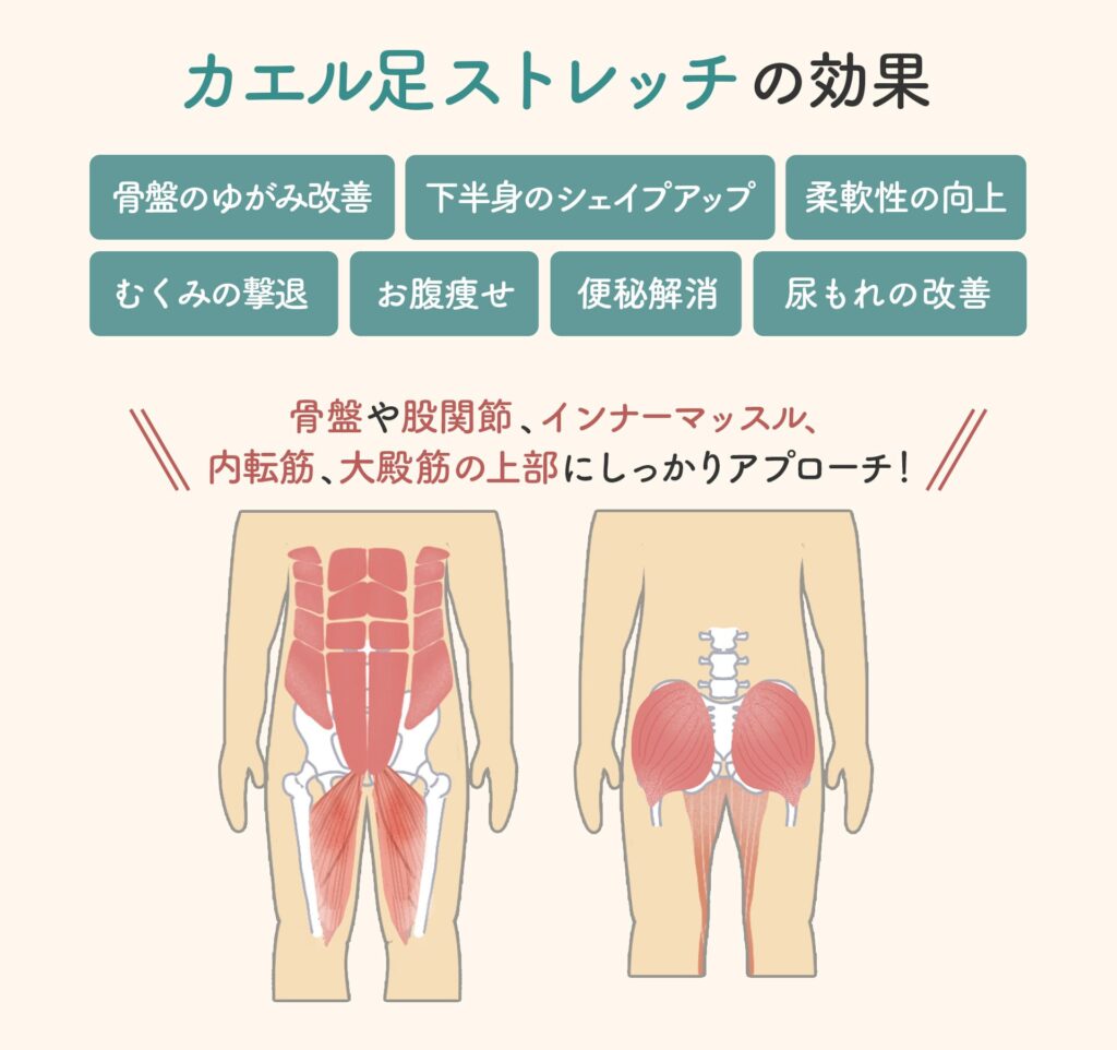 寝ながら5分の 足痩せエクササイズ 3選！ 股関節の柔軟性もアップ！Oggi.jp