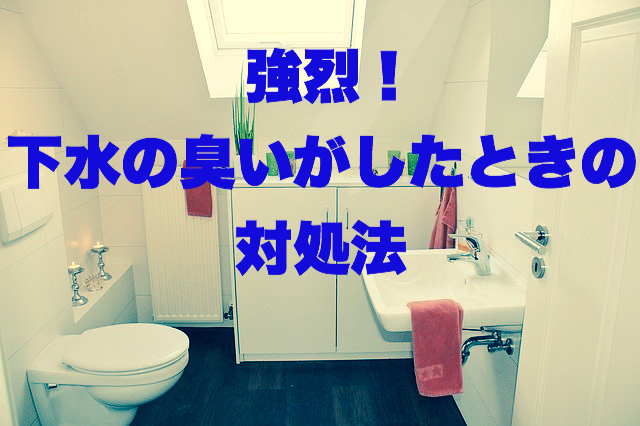 浴室の嫌〜な悪臭にはこれでサヨナラ