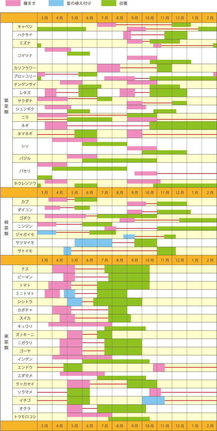 A3 年間野菜栽培プランナー区画とガーデンカレンダー植え付けと収穫の年ポスタ