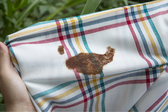 塗布して洗濯するだけ！衣類の頑固なシミ・黄ばみ洗浄の正解見つけた これ買ってよかったライフハッカー・ジャパン