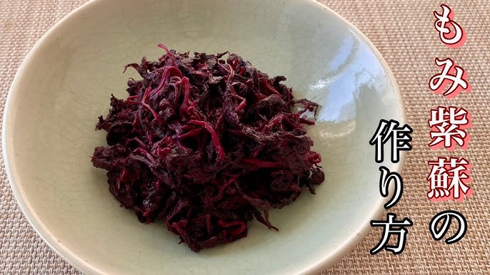 赤紫蘇の効果＆効能とは？漢方にも活用される赤シソの秘密について！公式 島根の有機 桜江町 さくらえちょう 桑茶生産組合