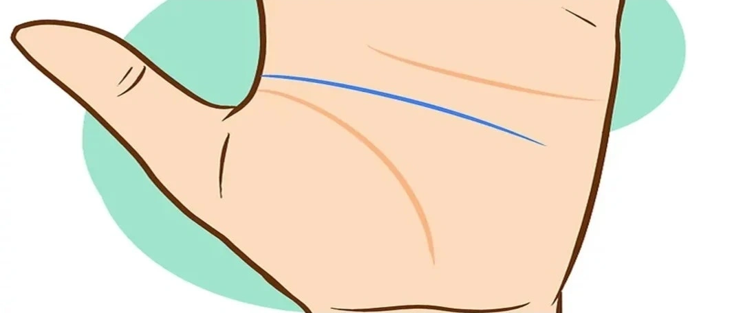 造形線 知能線 頭脳線 と感情線を、人差し指と中指の下あたりで斜めにつなぐ線 この手相は比較的珍しく、全ての人に現れるわけではありません。ものづくりの才能が備わっていることを示します。 苦労しながら作品を作り上げた人の手に現れやすいと言われています