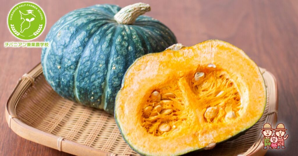 園芸の大敵！ うどんこ病とは？うどんこ病が発生する原因と対策について - For your LIFE