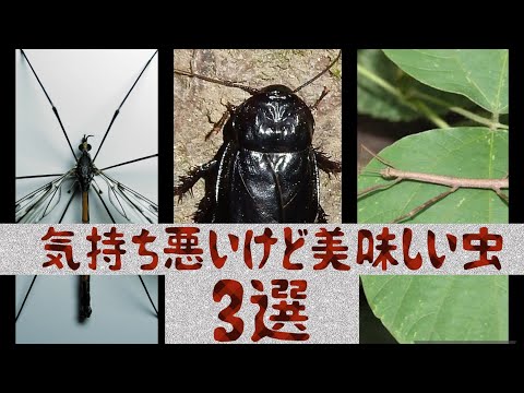気持ち悪い虫 : ω通信