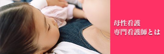 看護師養成の歴史看護師等の教育赤十字病院 看護師等の教育 社会福祉について日本赤十字社