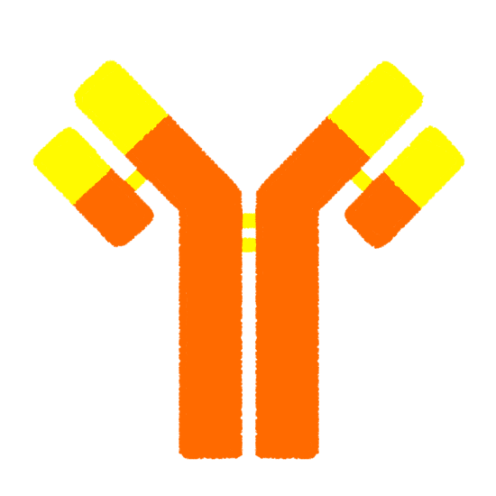 免疫 抗体」の3.4万点のロイヤリティフリー画像、写真素材、絵Shutterstock