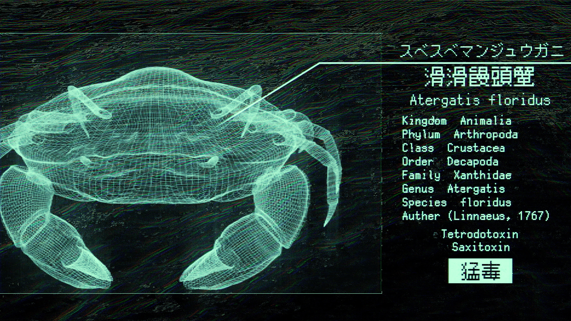 食べちゃいけない毒ガニ３種！ 脚１本で死ぬことも しかたにさんちの自然暮らし ３７- 琉球新報デジタル