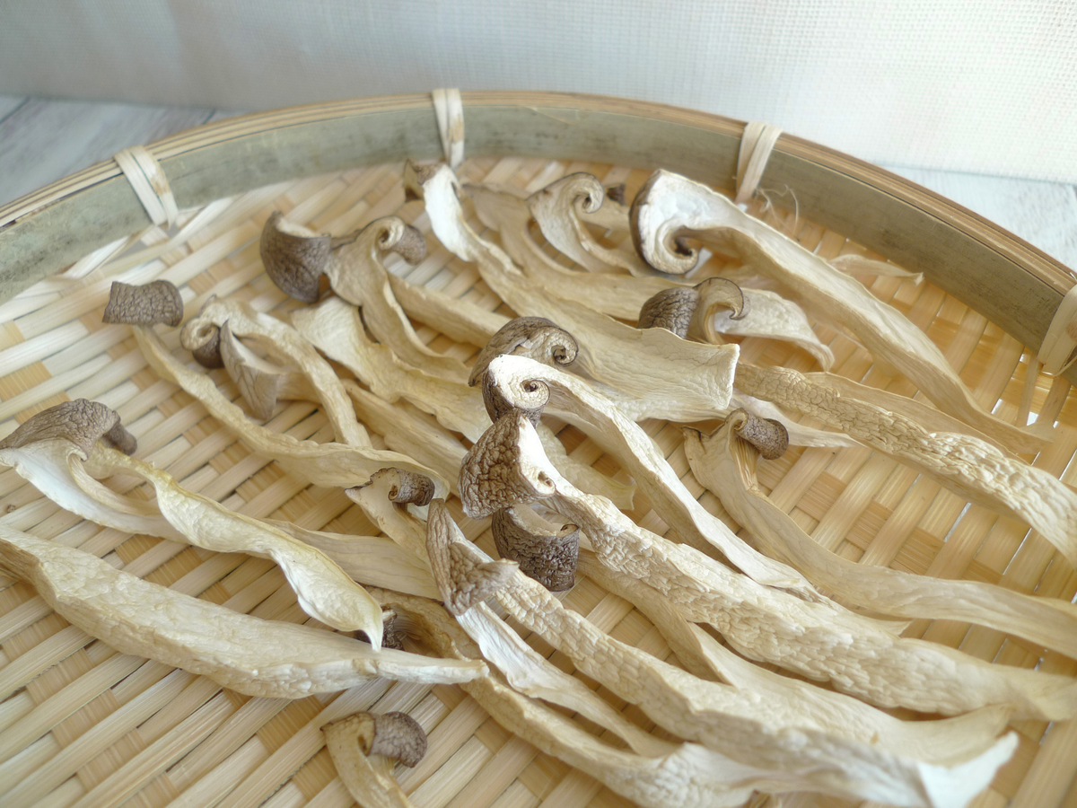 エリンギが腐るとどうなる？傷んでるかの見分け方や日持ちの目安・保存方法を詳しく解説！おうちごはん研究所