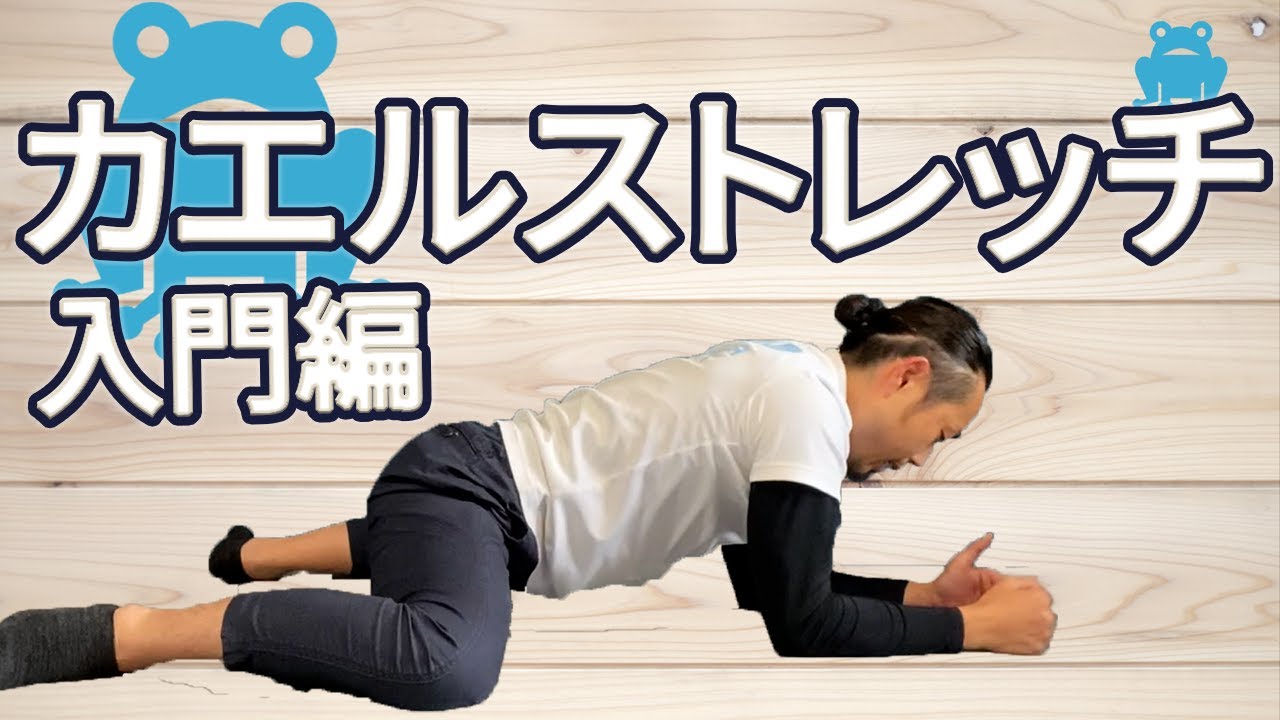 股関節と骨盤の使い方がコツ！ダウンドッグのやり方と効果Yogeek ヨギーク