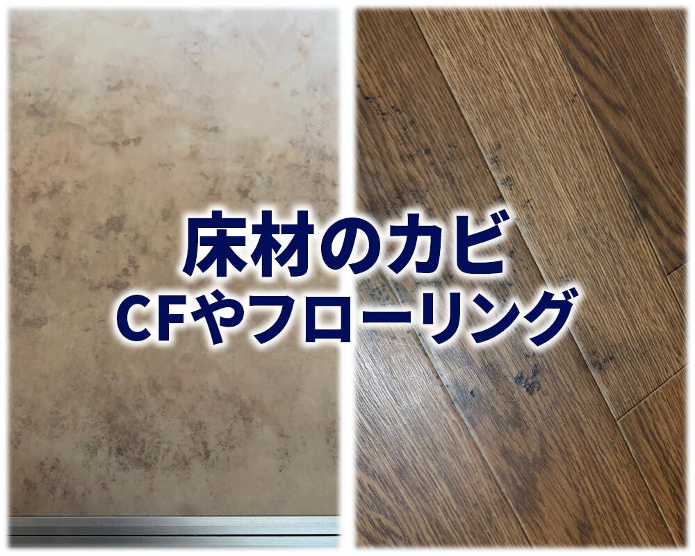フローリングにカビが生えてしまった！カビの除去方法と事前対策水商売の人のためのお部屋探しの情報メディアナイトハウス