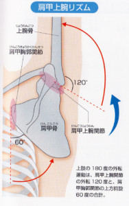 肩こり解消 指先がポイント！ほんの少し変えるだけで効果倍増？！効かせる肩の回し方とはヨガジャーナルオンライン
