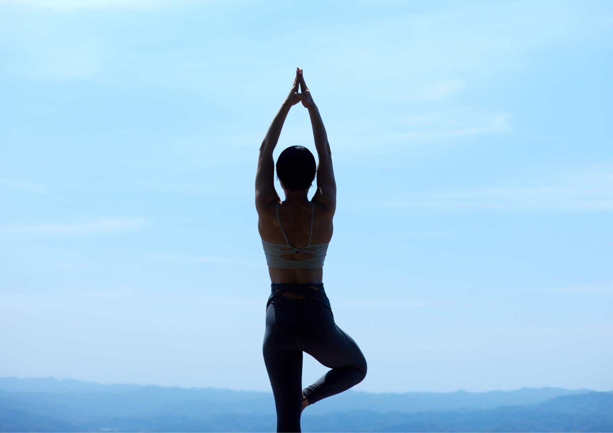 山のポーズ完全ガイド 立っているだけ ではない、全てのアーサナの原点SVAHA YOGA