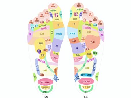 足裏の反射区・足つぼ モノクロ図解イラスト 英語版 のイラスト素材83453664- PIXTA