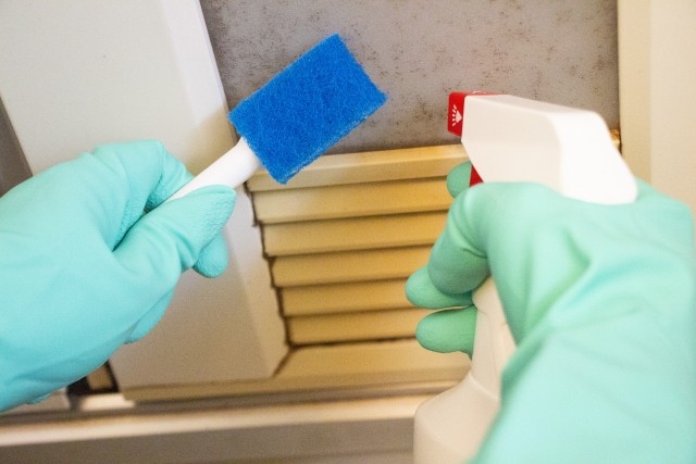 浴室天井のカビを撃退！カビキラージョンソン株式会社