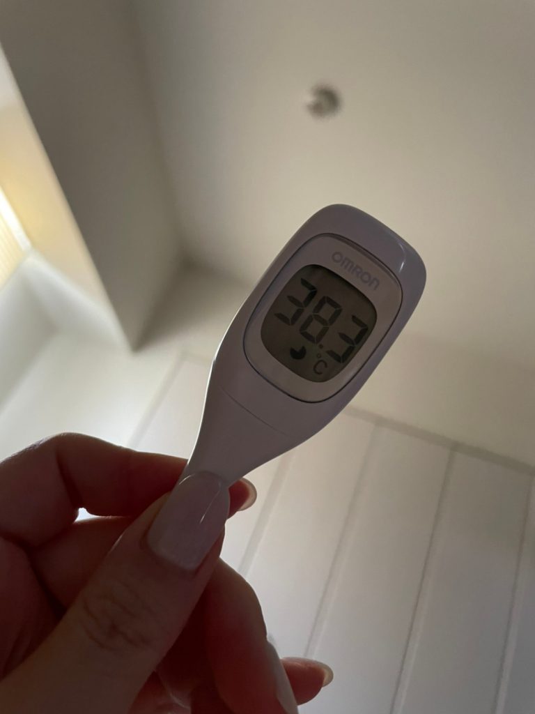 2025最新 寝室用の体温計！人気おすすめアイテムランキングわたしと、暮らし