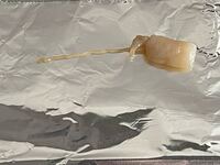 アニサキス食中毒の予防 プロや水産関係者はどうしているのか？魚食普及推進センター 一般社団法人 大日本水産会