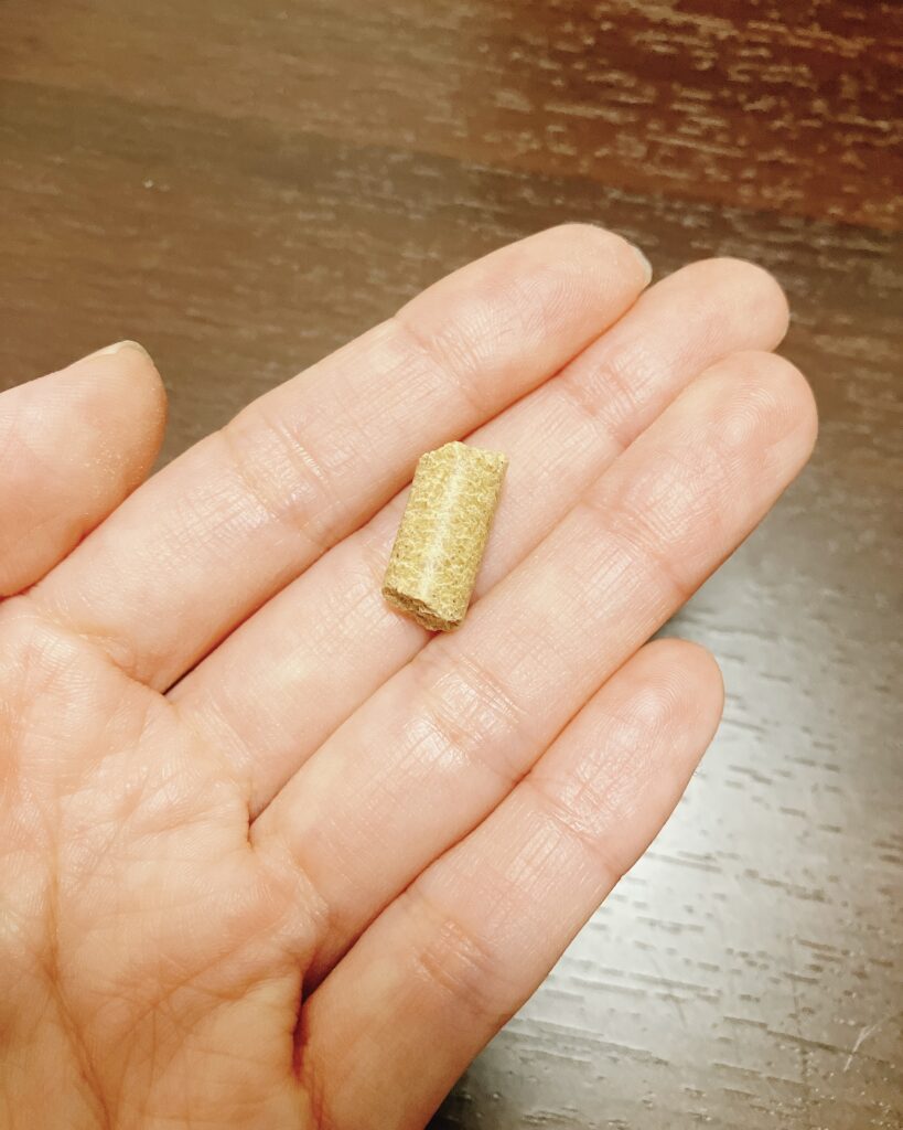 ハムスターに与えて良い食べ物、悪い食べ物！ハムスターの食事について解説