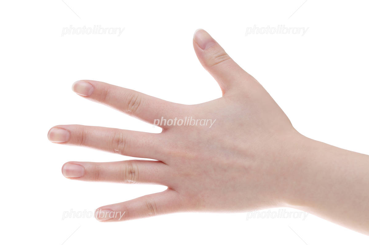 女性の手のアップの写真・画像素材-Snapmart スナップマート