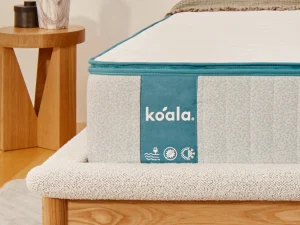 和室や畳の上にベッドを置いたりマットレスを使う際に知っておくべきことベッドマットレスの直置きはおすすめしないコアラマットレス公式ブログ