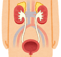 940点を超えるアンモニア イラストのストックフォト、写真、そしてロイヤリティフリーの画像 - iStock