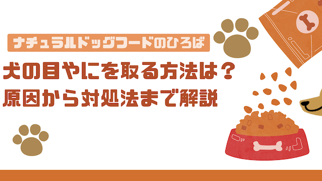 子どもの目やに 朝目が開かない 原因・取り方たなか小児科アレルギー科