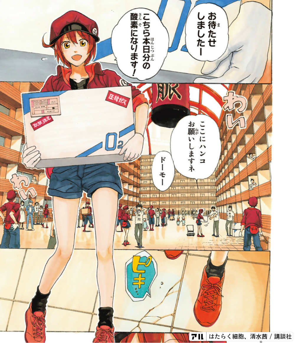 世界一受けたい授業のはたらく細胞はhuluで見られる！アニライ研究所 – アニメはVODで見る時代 –