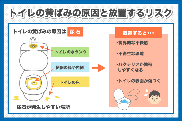 トイレの黄ばみはコレで落ちる！掃除方法からオススメ商品・予防方法まで紹介カジタクコラム